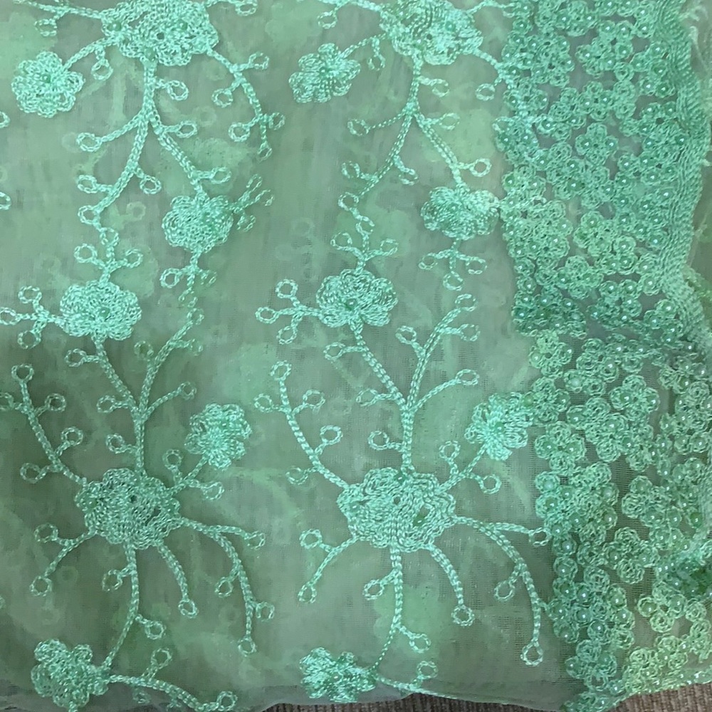 Green Net Saree